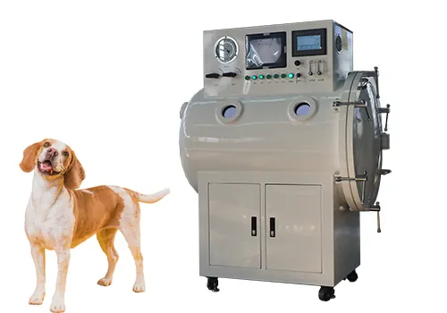 Animal Experimental Chamber