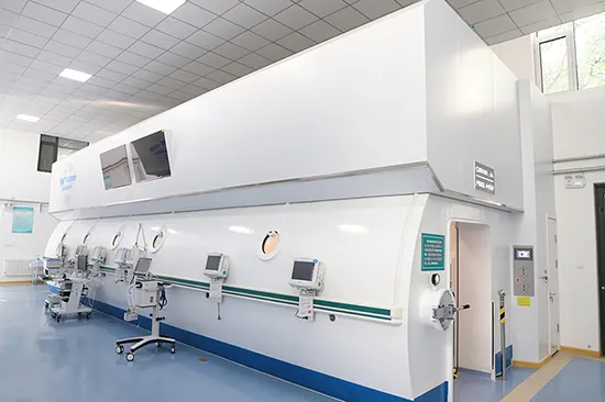 Industry & Export Experience